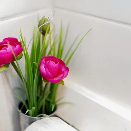 Апартаменты Confort Вильштет